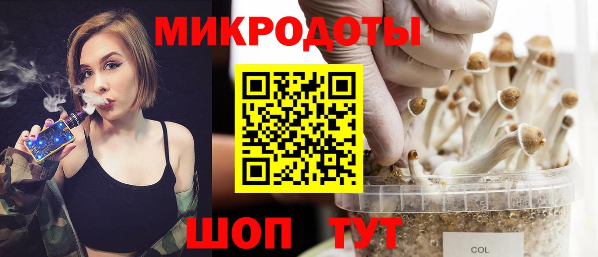 Псилоцибиновые грибы ЛСД  Вход с VPN  где купить наркотик  Гусев 
