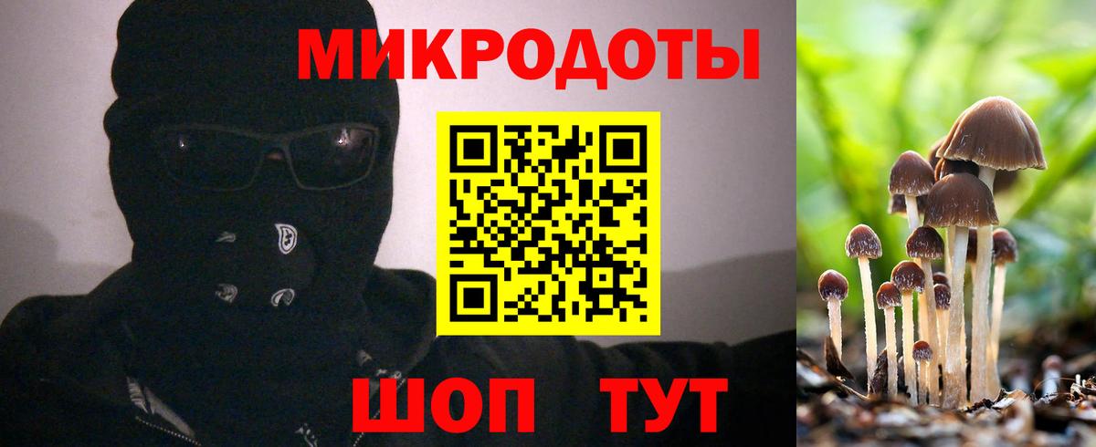 Галлюциногенные грибы мухоморы Гусев